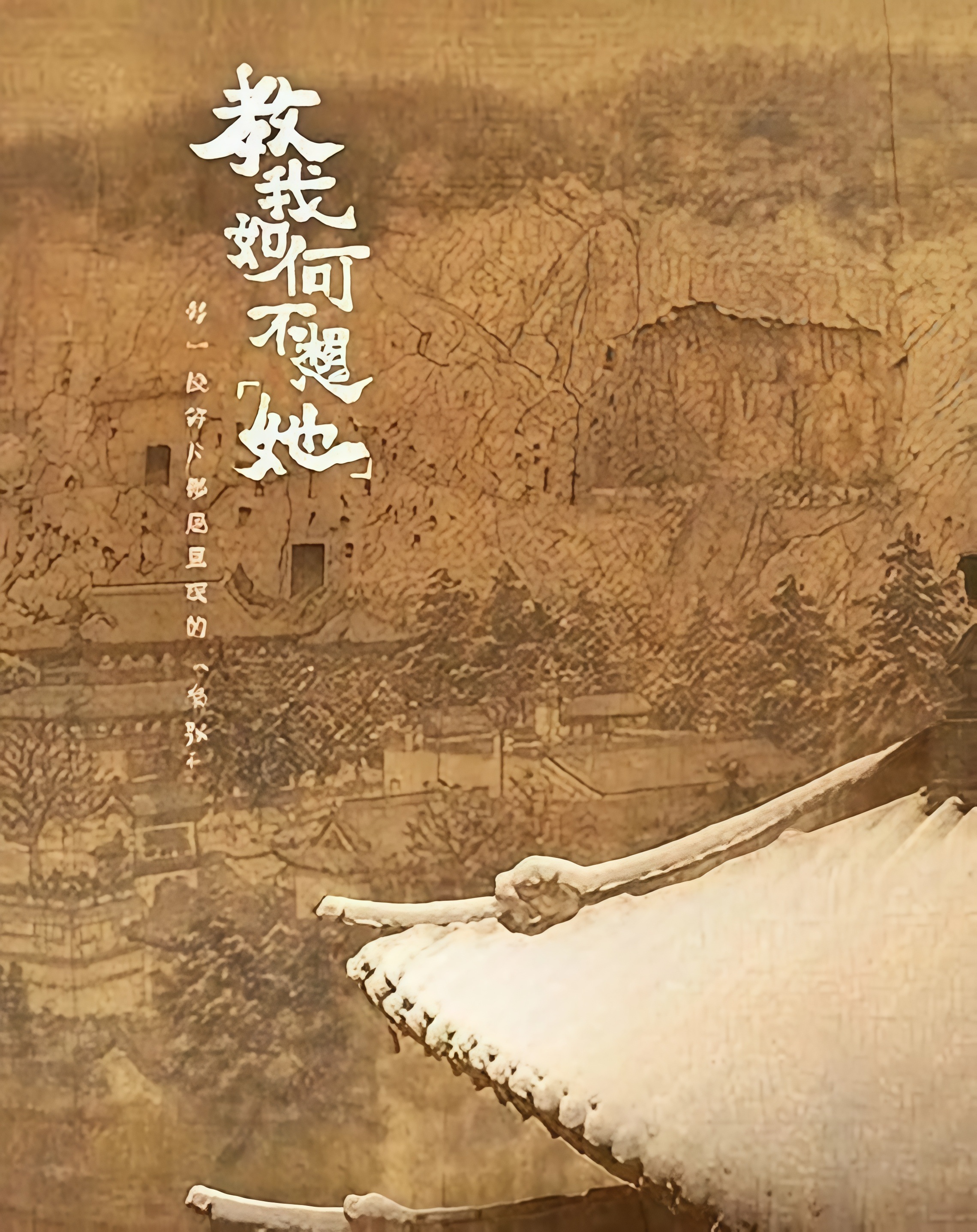 视频在线播放一区二区