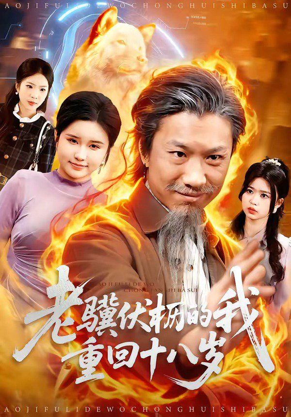 糖仁vlog免费观看