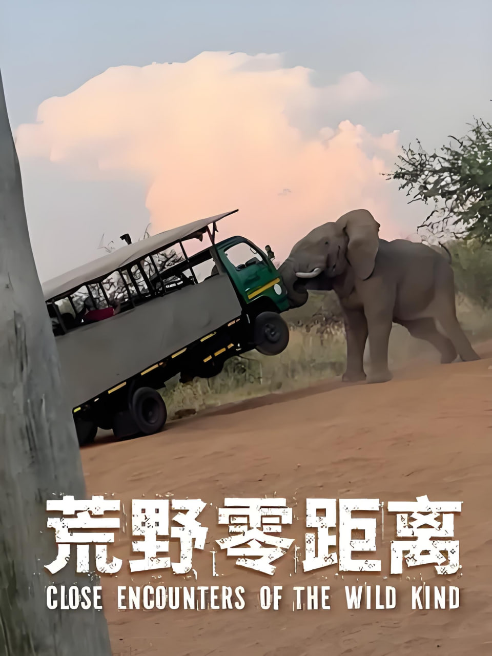 玫瑰社区免费视频