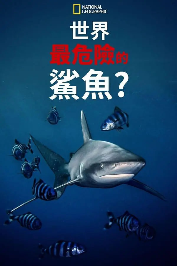 糖心vlog动漫在线观看