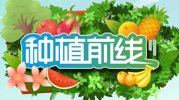 天体野营免费看