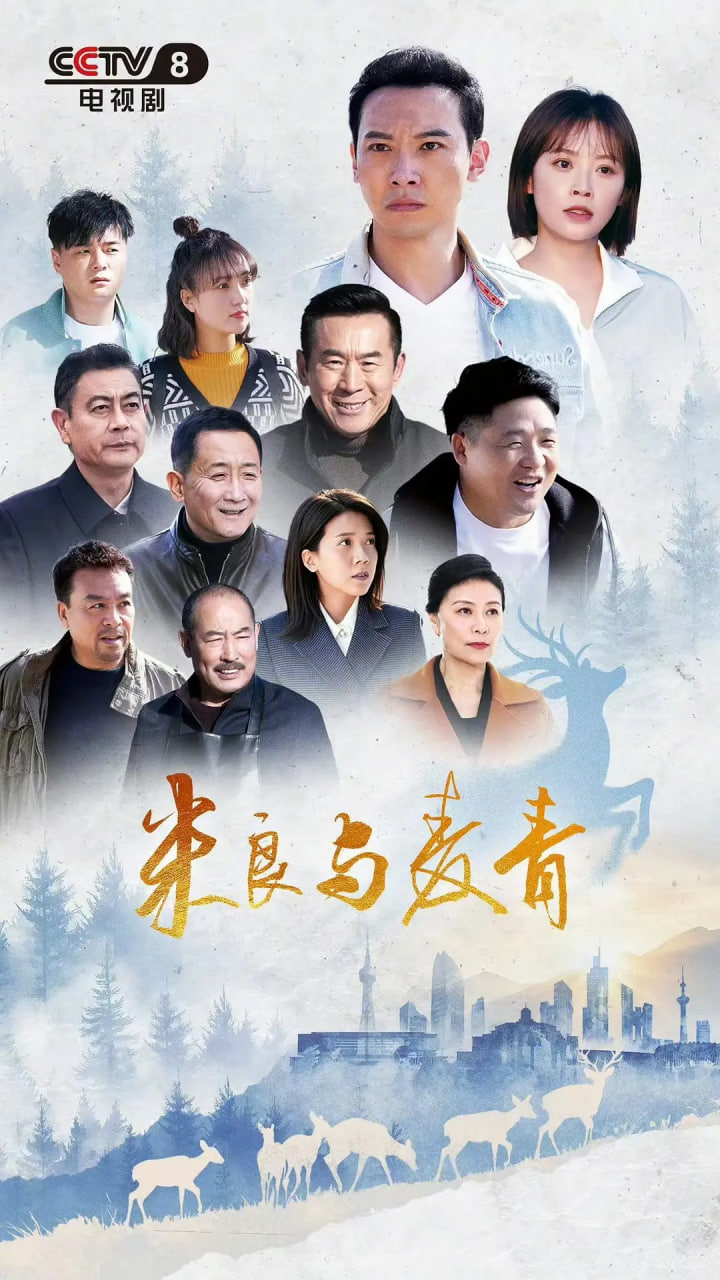 体彩大乐透中奖规则对照表